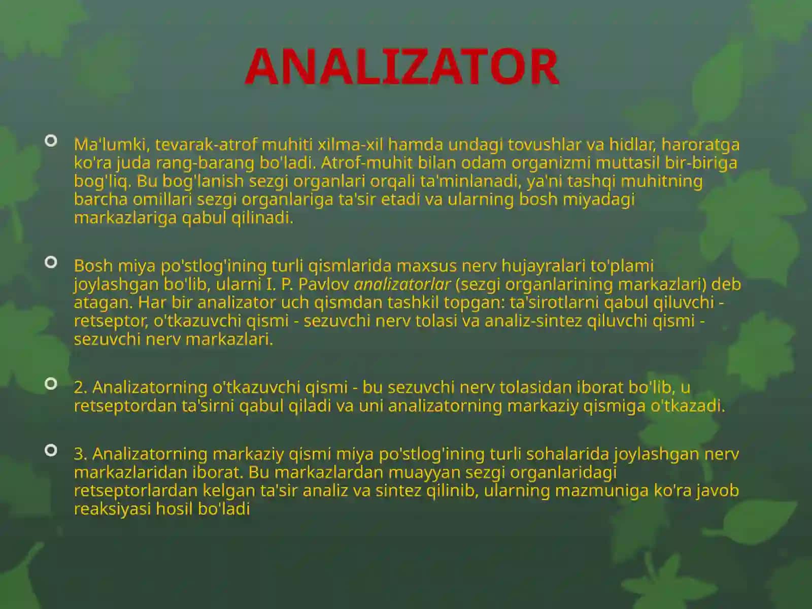 ANALIZATOR 2