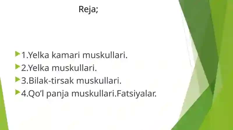 Yelka, bilak, qo’l panjasi muskullari va fatsiyalari 2