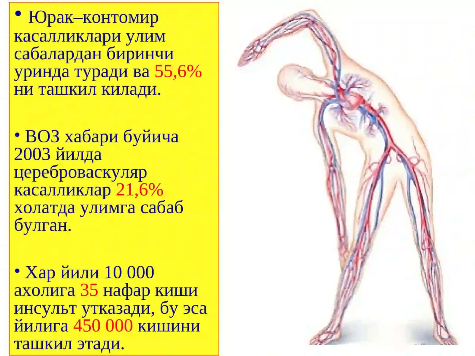 Aorta ravogi okklyuzion kasalliklari 2