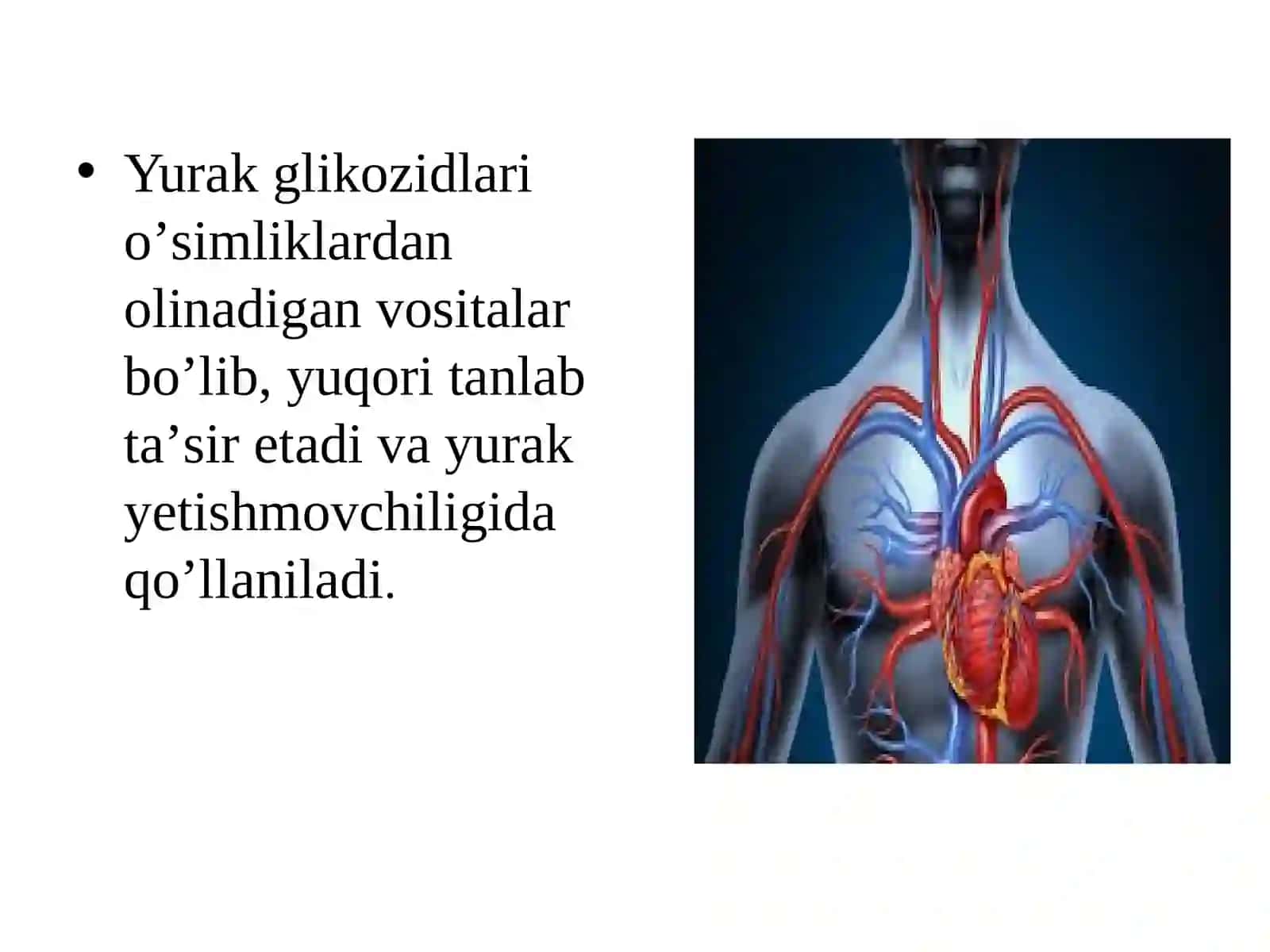 Yurak glikozidlari 2