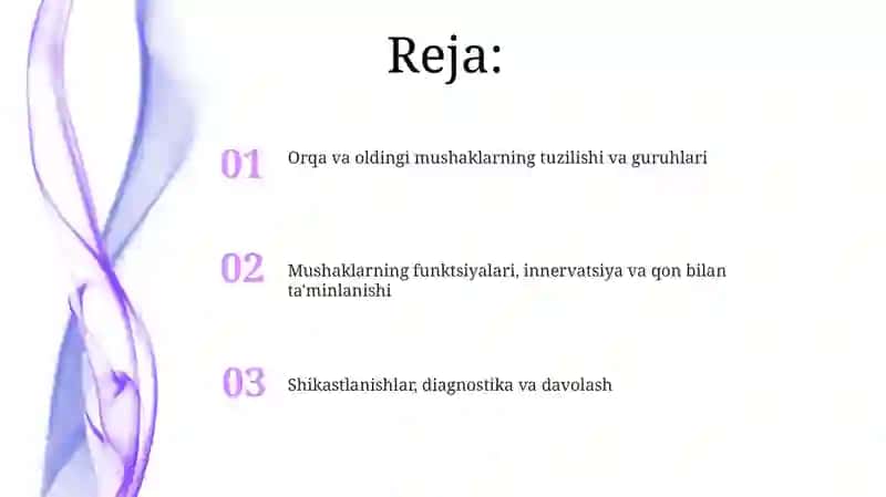 Orqa va old mushaklar tuzulishi 2
