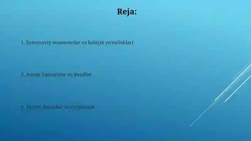 Konstitutsiyaning Asosiy Prinsiplari 2