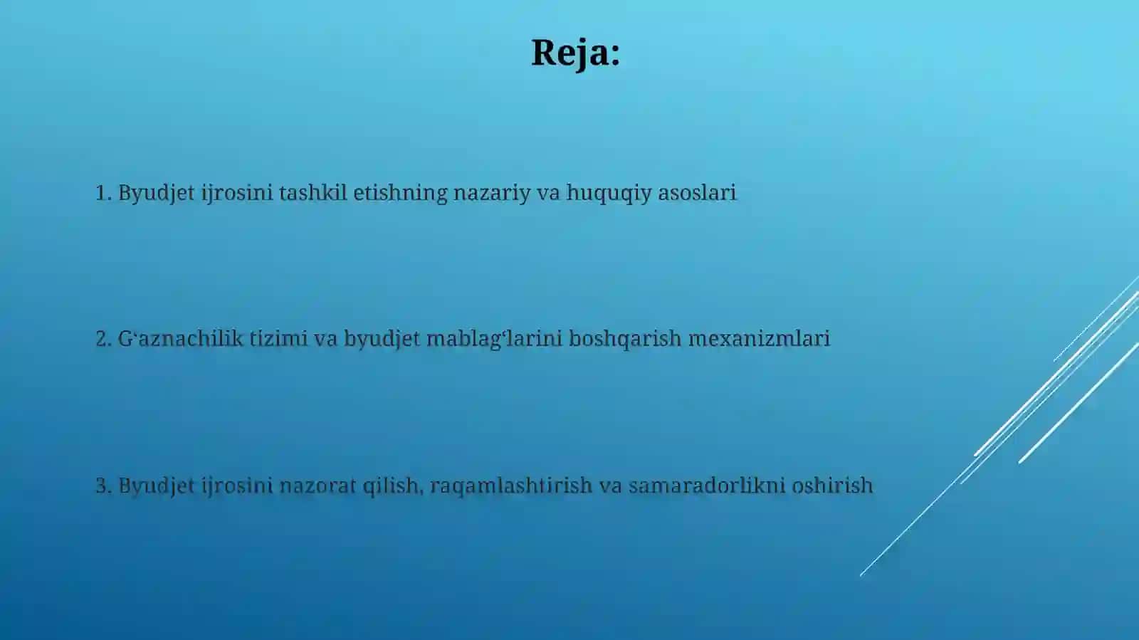 Byudjet ijrosini tashkil etish 2