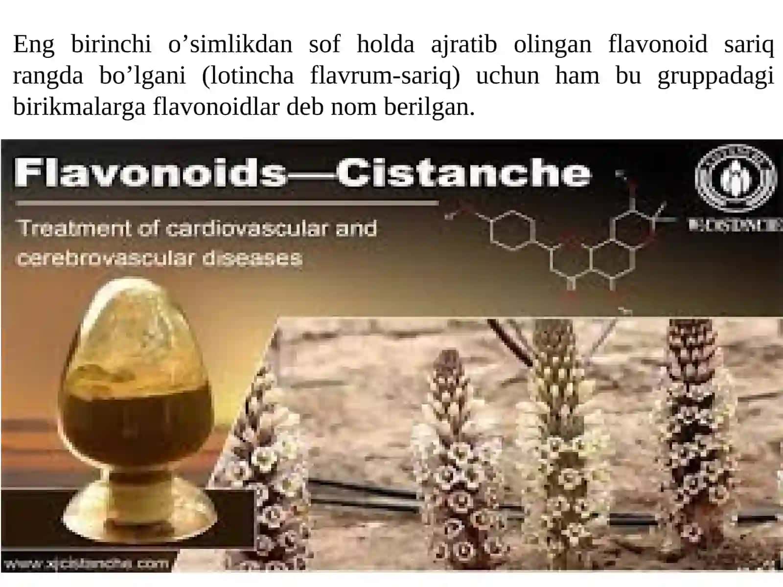 Tarkibida flavonoidlar bo‘lgan dorivor o‘simliklar xom ashyosini standartlash va sertfikatlash 2