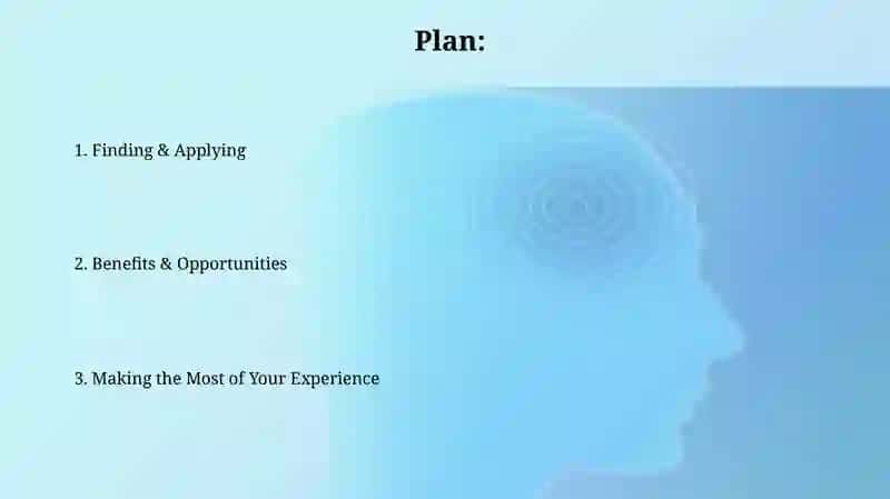 Plan 2