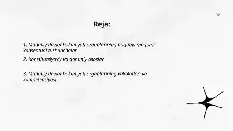 Mahalliy davlat hokimiyati organlarining huquqiy maqomi 2