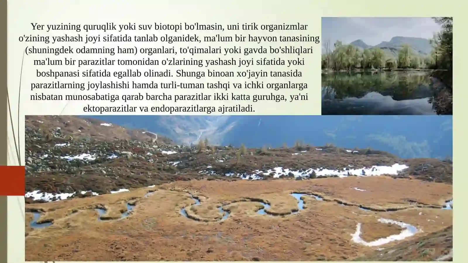 DOIMIY (STASIONAR) PARAZITIZM. PARAZITLARNI XO’JAYINLARIGA, XO’JAYINLARNI PARAZITLARGA TA’SIRI 2