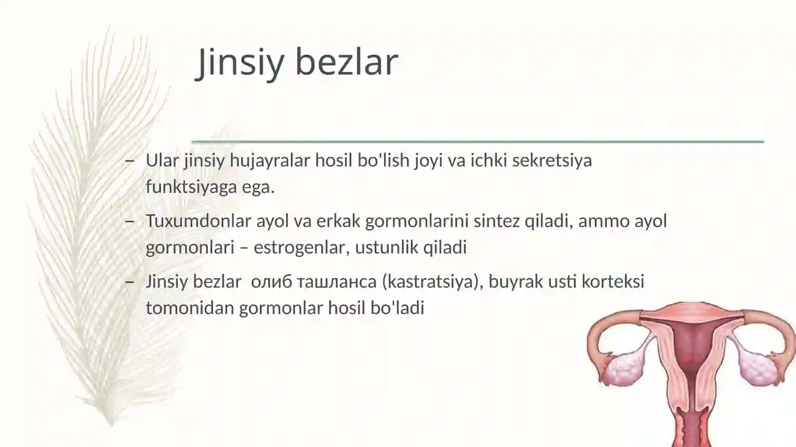 Ayol jinsiy gormonlari 2