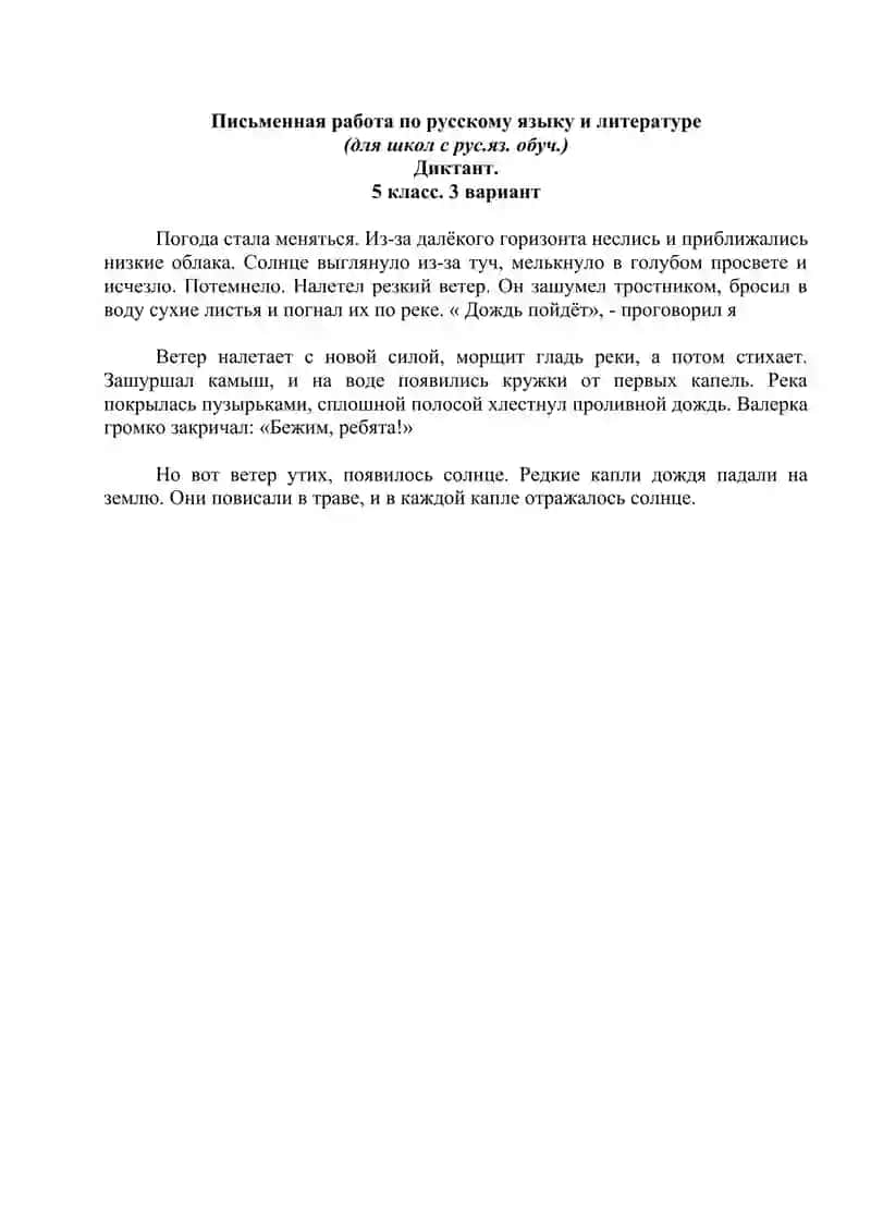 Письменная работа по русскому языку и литературе 2
