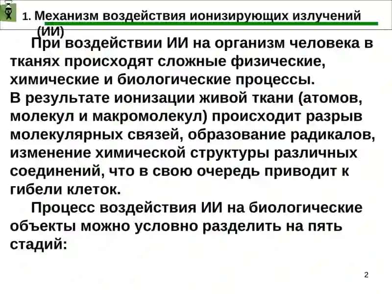 Лекция 8.БИОЛОГИЧЕСКОЕ ДЕЙСТВИЕ ИОНИЗИРУЮЩИХ ИЗЛУЧЕНИЙ 2