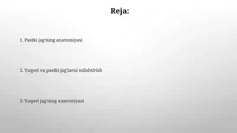 Yuqori va pastki jag'lar anatomiyasi 2