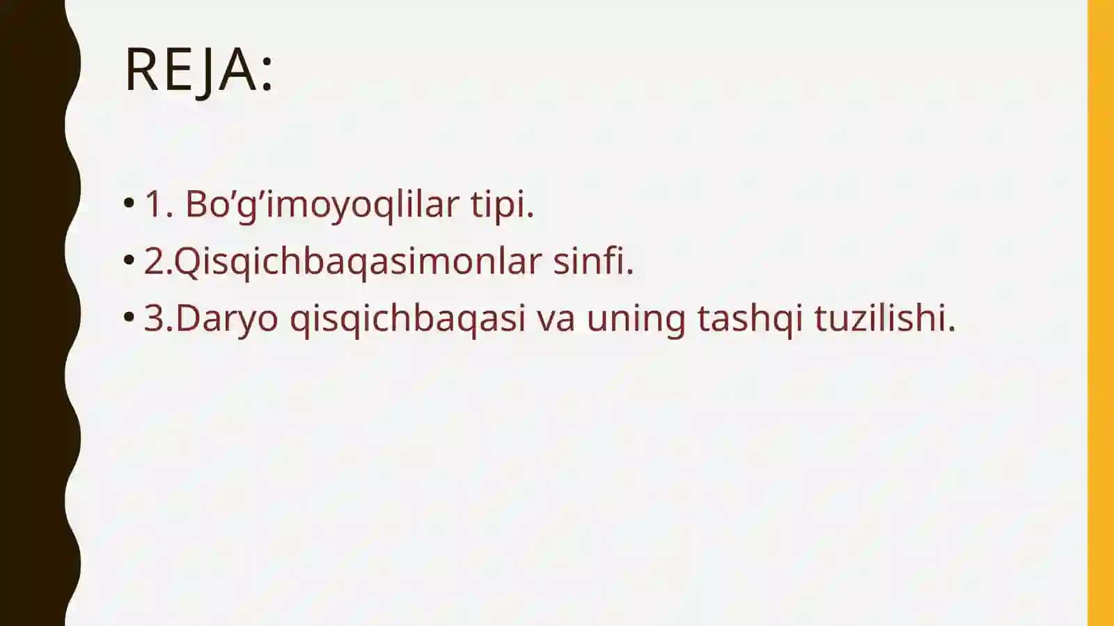 Bo’g’imoyoqlilar tipi 2
