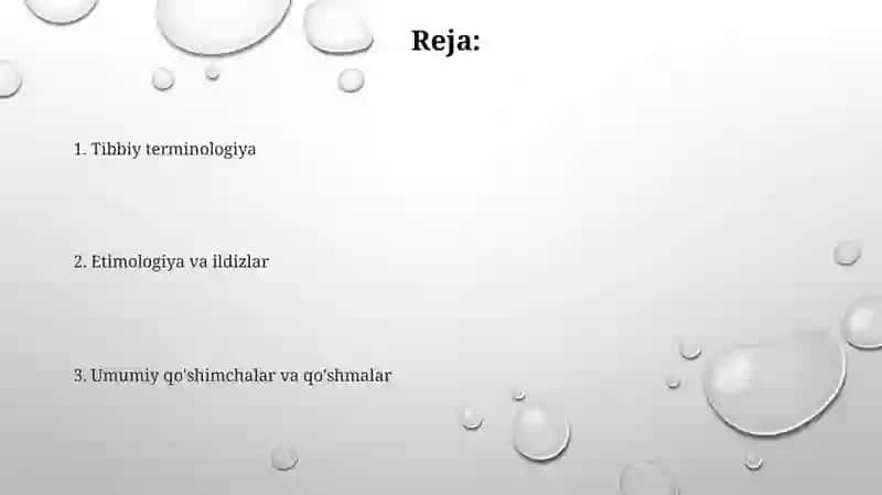 Lotin tili terminalogiyasi 2