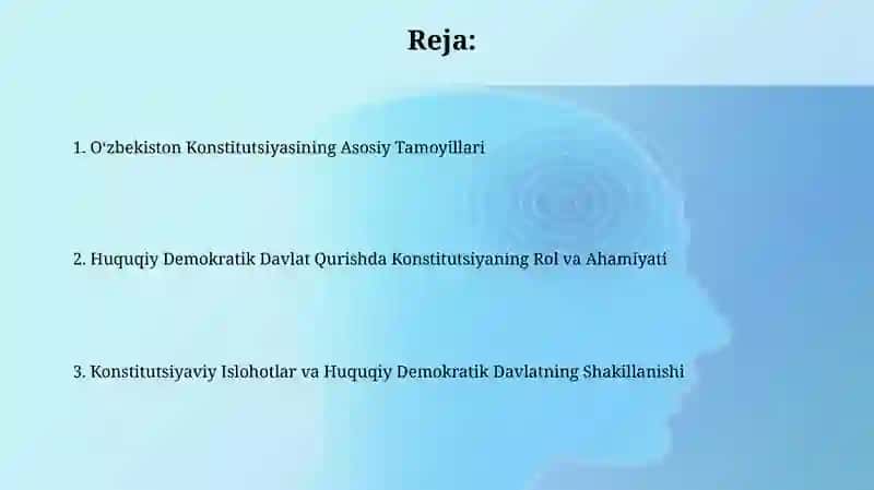 Oʻzbekistonda xuquqiy demokratik davlat qurilishining konstitutsiyaviy asoslari 2