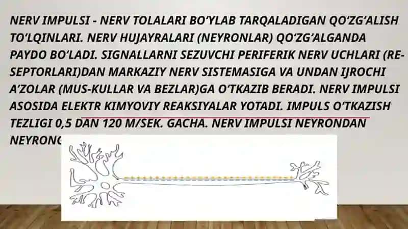 Giperammoniemiya turlari, ularning tashxis qoyishda kilinik ahamiyati 2