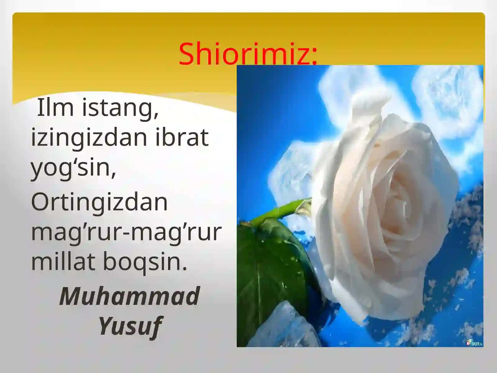 Muhammad Yusuf hayoti va ijodi 2