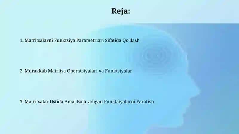 Matritsalarni Funktsiya Parametrlari Sifatida Qo'llash 2