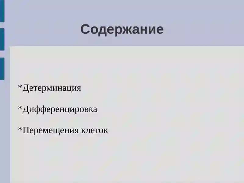 ДЕТЕРМИНАЦИЯ ЦИТОЛЕФФЕРЕНЦИРОВКА И МОРФОГЕНЕЗ 2