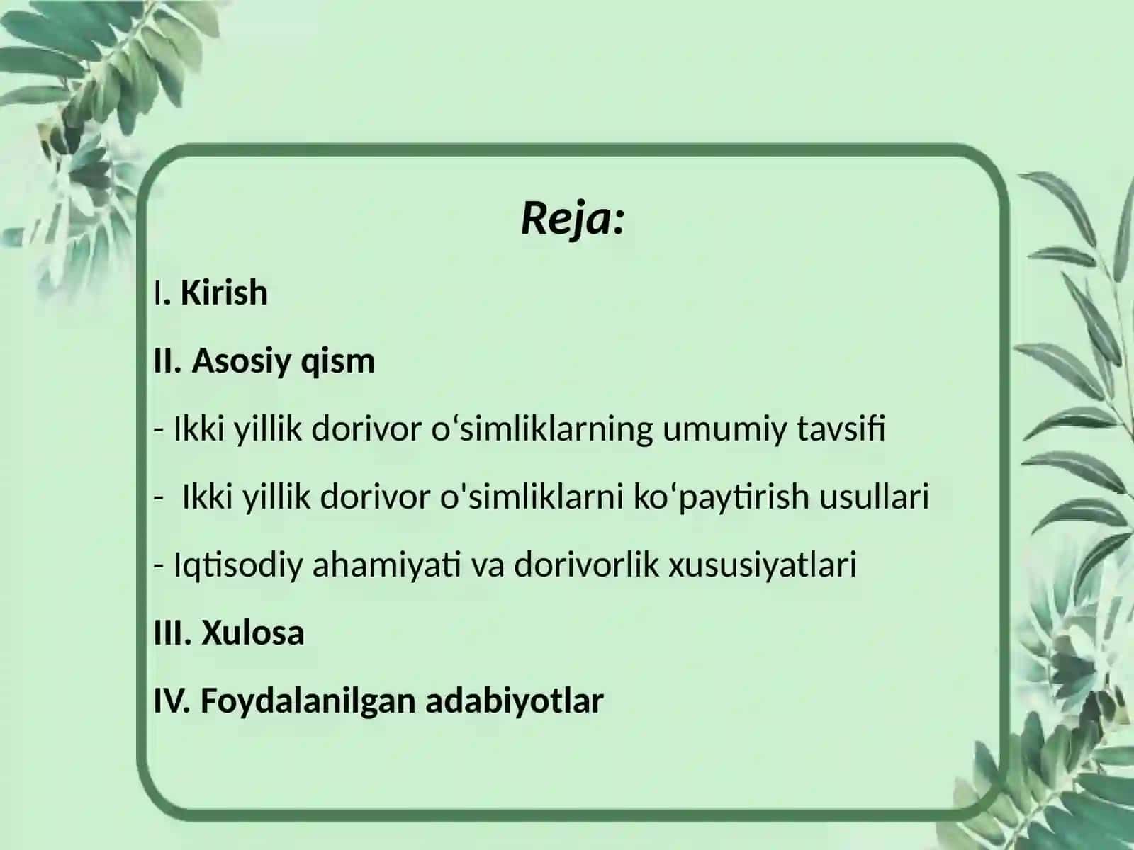 Ikki yillik dorivor o'simliklarni yetishtirish texnologiyasi 2