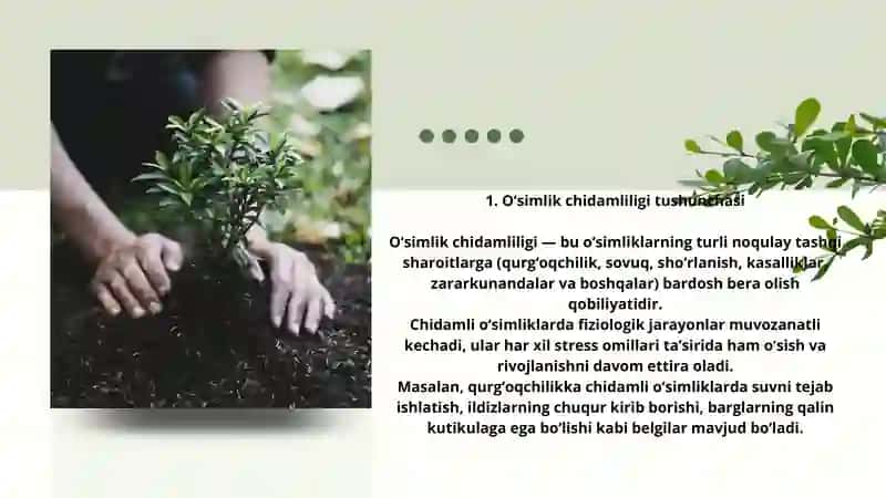 O‘simlik chidamligiga agrotexnik tadbirlarning ta’siri 2