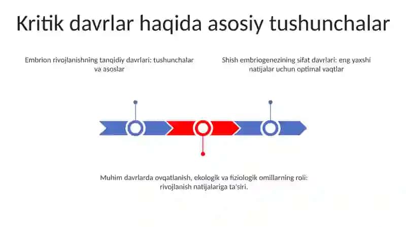 Odam Embriogenezining Qaltis Davrlari 2