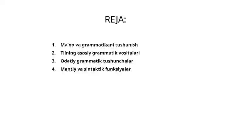 Grammatik ma'no. Tilning grammatik vositalari 2