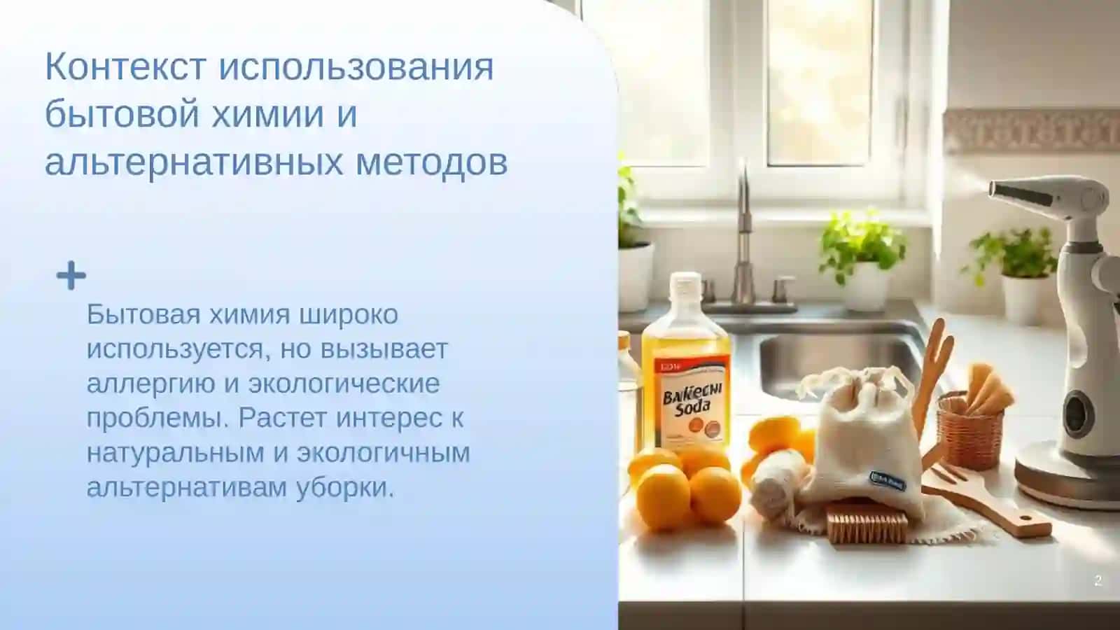 Обзор темы и ключевые вопросы по бытовой химии и альтернативам в уборке дома 2