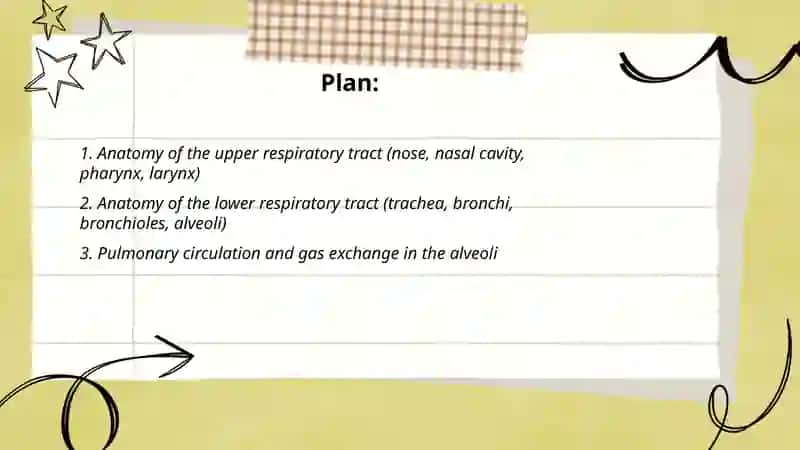 Respiratoty system 2