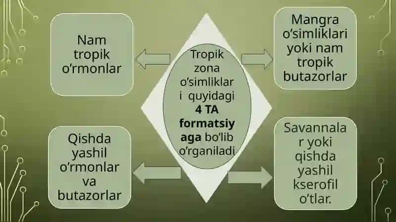 Tropik mintaqa o’simliklarini kontur xaritaga tushirish 2