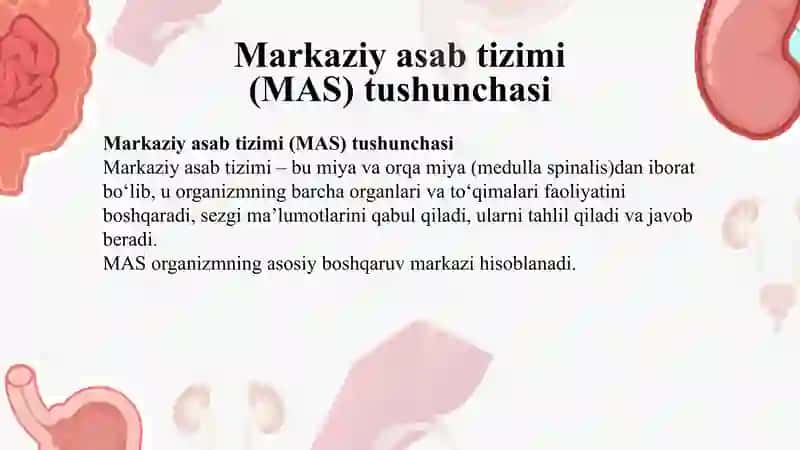 Markaziy asab sistemasi umumiy Fizologiyasi.Asab Markazlarini xossalari bilan tanishish 2