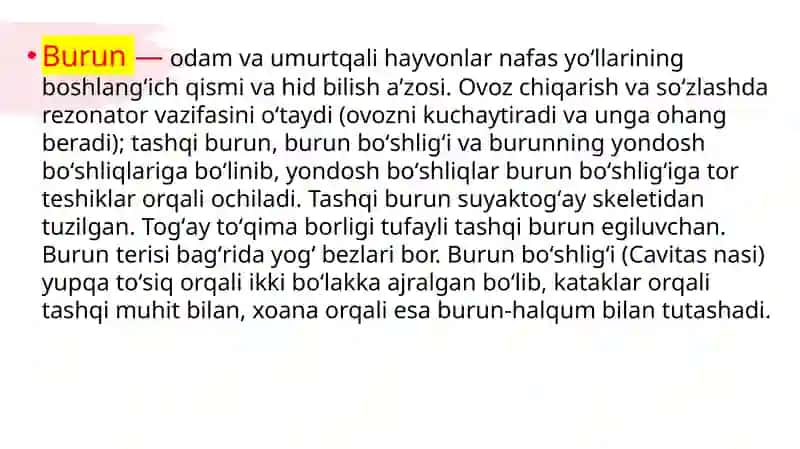 Burun, halqum va hiqildoqning anatomo-fiziologik xususiyatlari 2