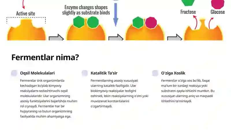 Tibbiyotda Fermentlarning Qo'llanilishi 2