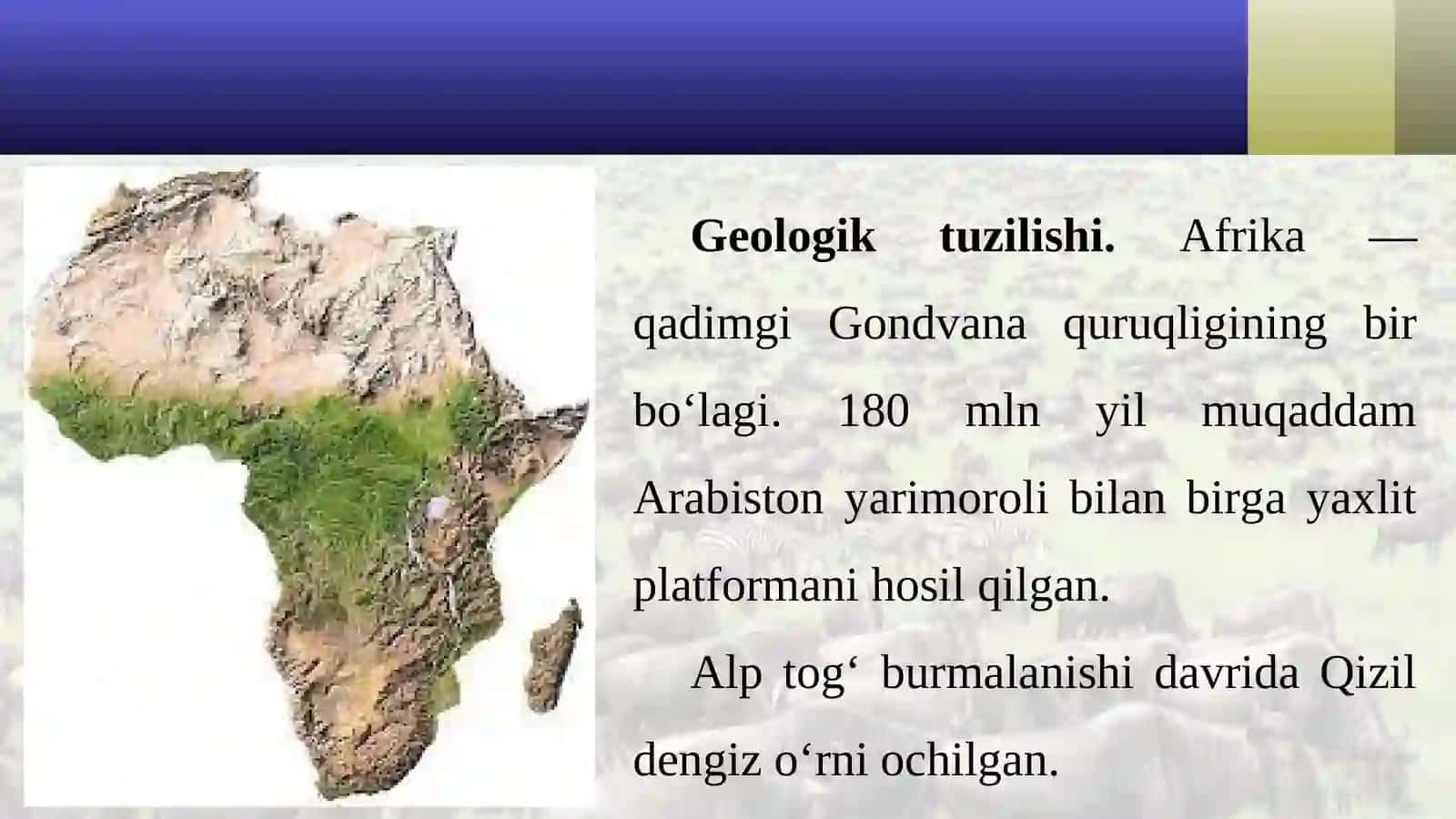 Geologik tuzilishi va foydali qazilmalari. Relyefi 2