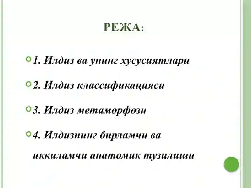 Фан.БОТАНИКА (Ўсимликлар анатомия ва морфологияси, тубан ўсимликлар) 2