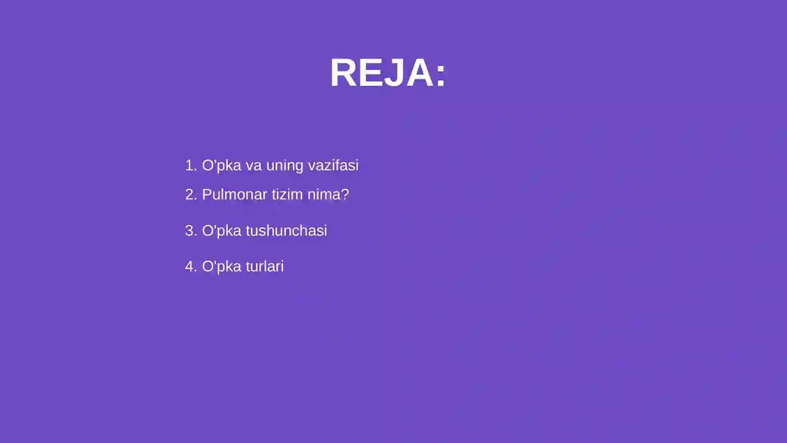O'pka va uning pulmonar tizimi 2