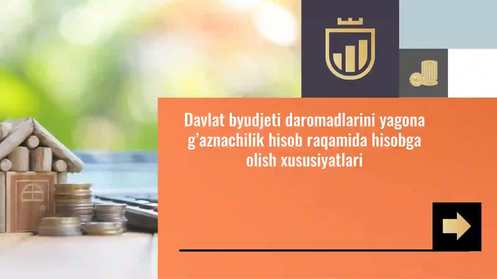 Davlat byudjeti daromadlarini yagona g'aznachilik hisob raqamida hisobga olish xususiyatlari 2