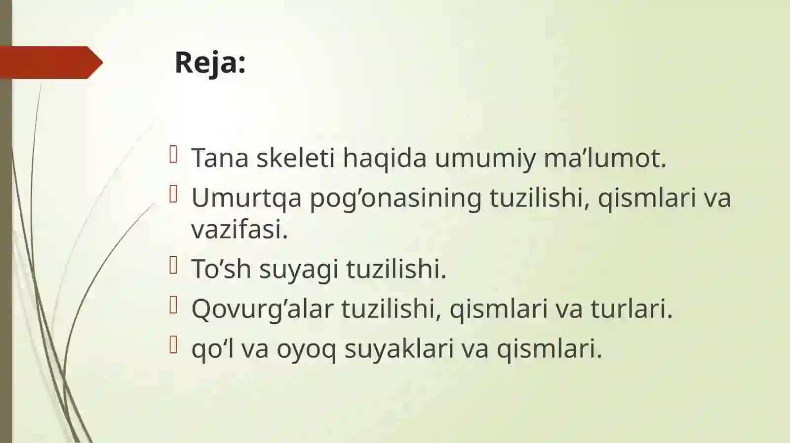 Tana skeleti va uning qismlari: umurtqa pog‘onasi, kо‘krak qafasi, qо‘l va oyoq suyaklari va qismlari 2