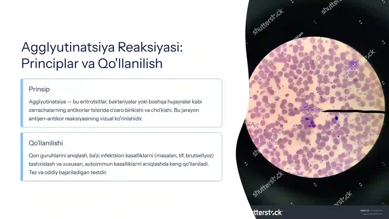 Serologik va Molekulyar Diagnostika Usullari 2