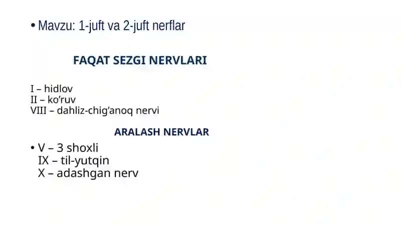 1 va 2 juft nerflar 2