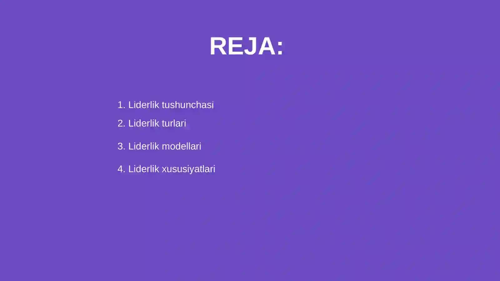 Liderlik modellari 2