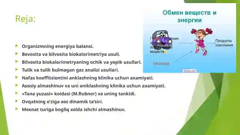 MODDALAR VA ENERGIYA ALMASHINUVINI O’RGANISH 2