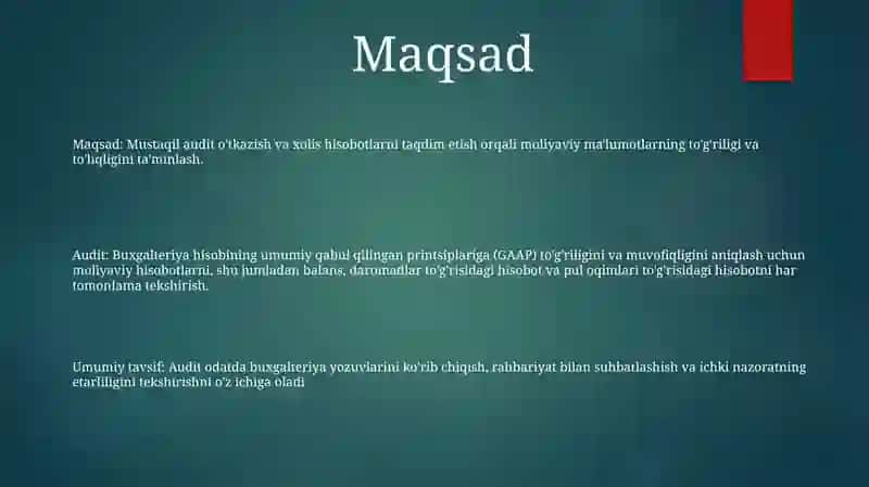Auditga Umumiy Tavsif 2