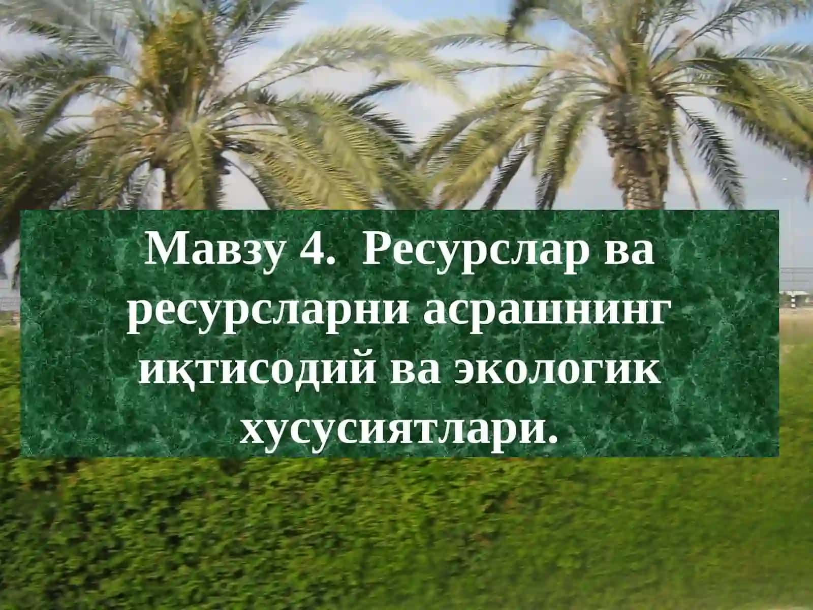 Ресурслар ва ресурсларни асрашнинг иқтисодий ва экологик хусусиятлари 2