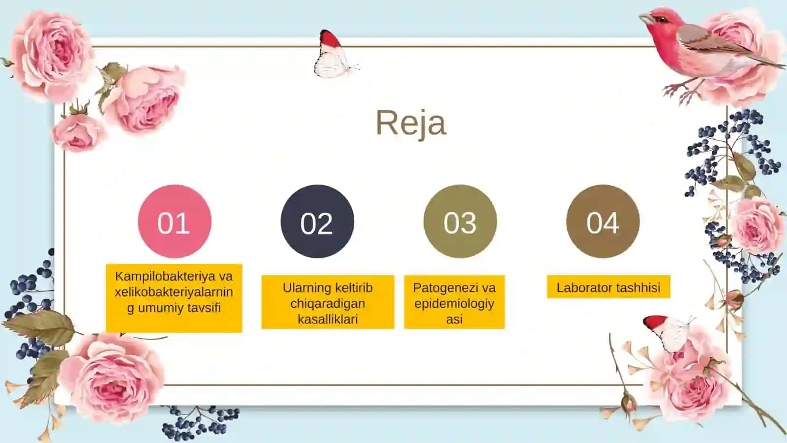 Kampilobakteriyalar va xelikobakteriyalarningumumiy tavsifi 2
