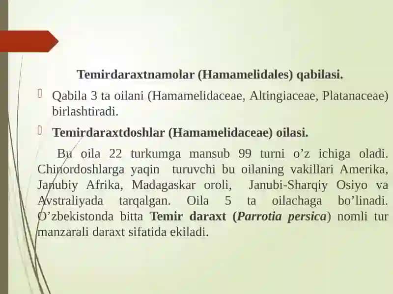 Temirdaraxtdoshlar oilasi 2