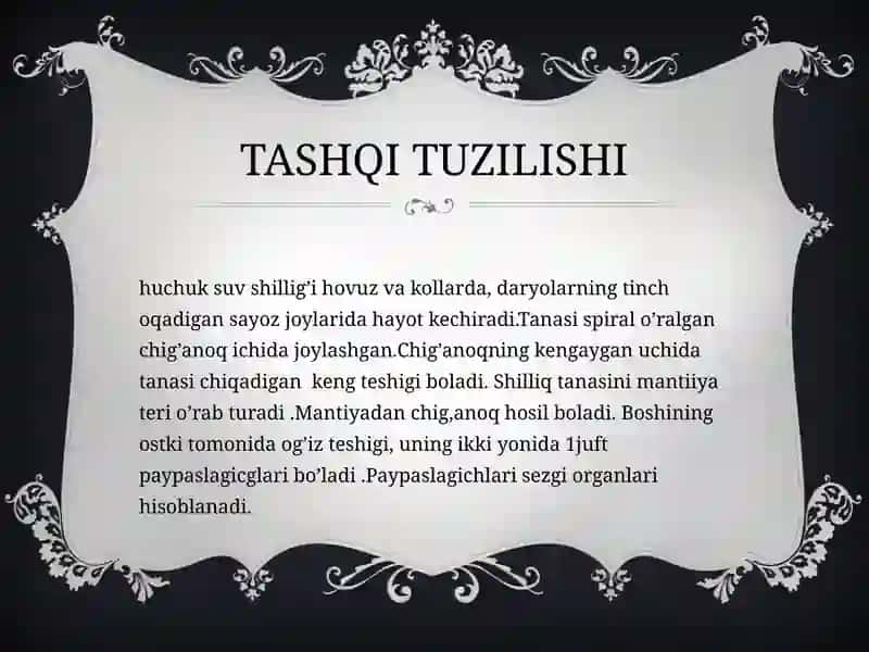 QORIN OYOQLILAR (GASTROPODLAR) HAZM QILISH SISTEMASI 2