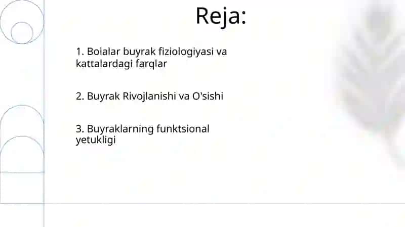 Bolalarda buyraklarni anatomo-fiziologik xususiyatlari 2