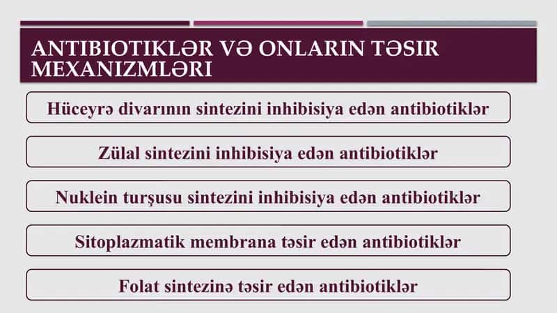 Antibiotiklərin antimikrob təsirinin mexanizmləri 2