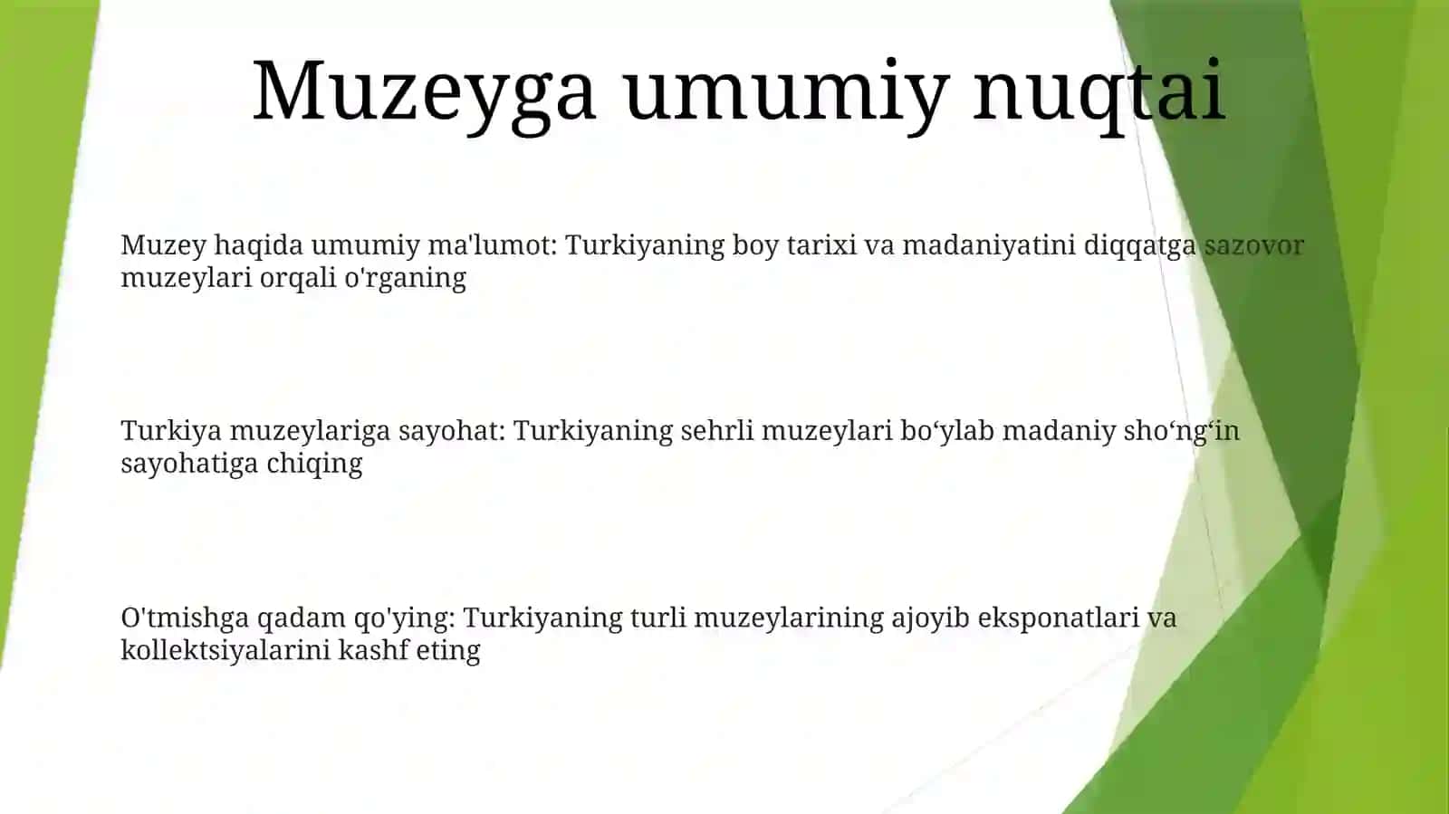 TurkiyaMuzeylarigaSayohat 2