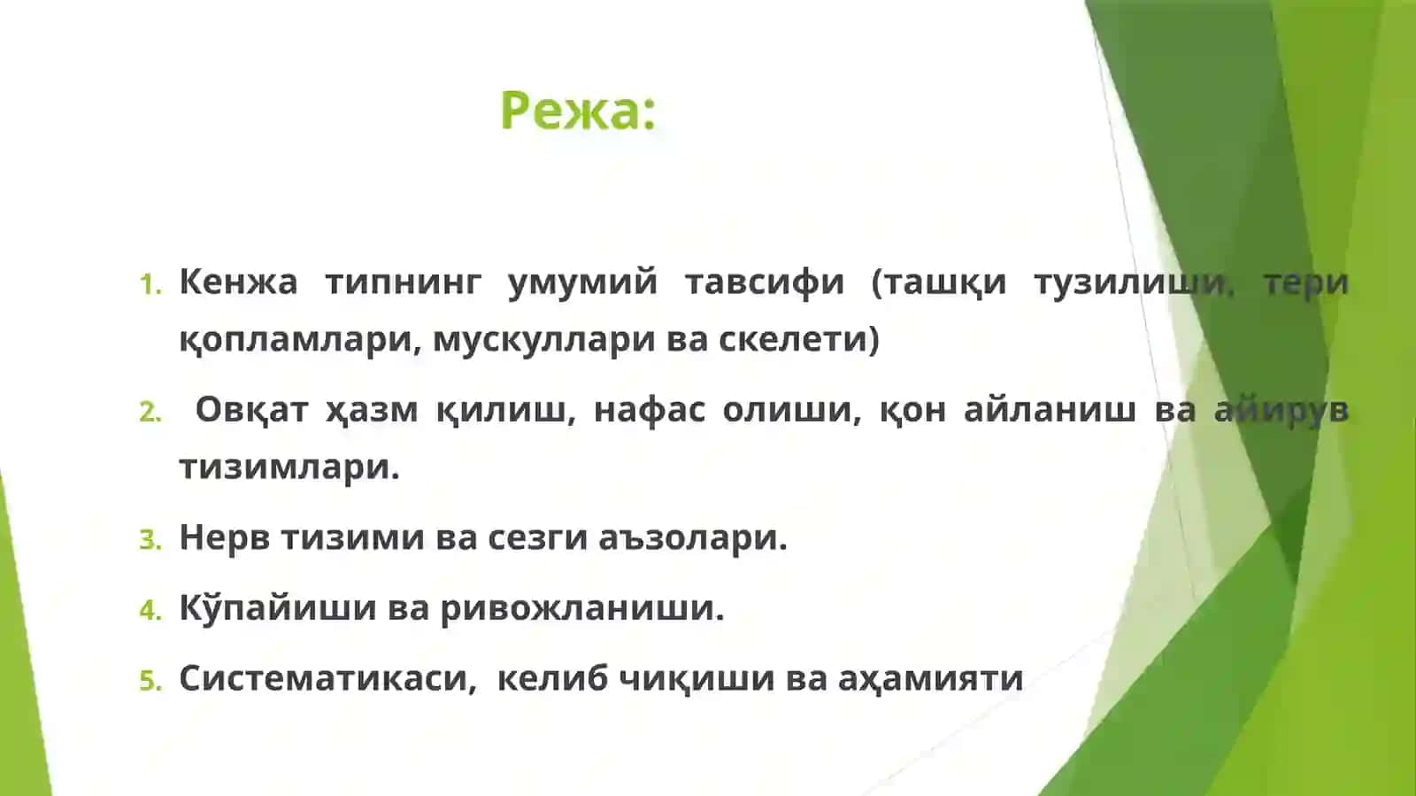 Бош скелетсизлар-Acrania кенжа типи 2
